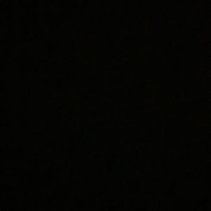 Meet your Posher, Esme